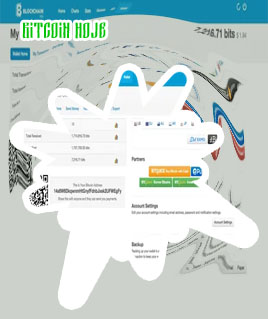 10 bitcoin wallet