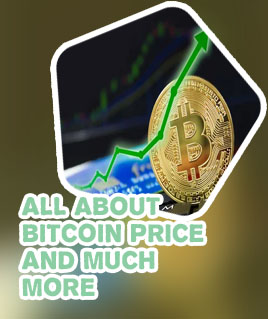 Bitcoin cotizacion